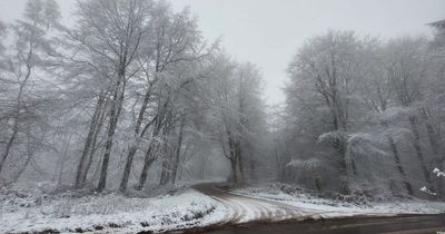 Ice and fog warning issued for parts of Wales by Met Office