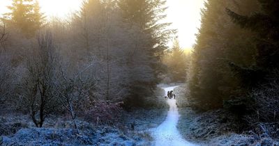 Northern Ireland weather: Warning for freezing fog and ice