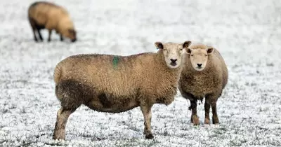 Met Office gives long range weather forecast for Christmas and New Year in the North East