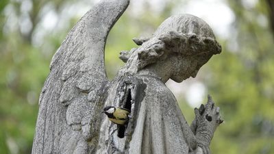 The secret, vibrant life of Paris's famed Père Lachaise cemetery