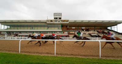 Newsboy's horse racing tips for Monday's two all-weather meetings, including Wolverhampton Nap