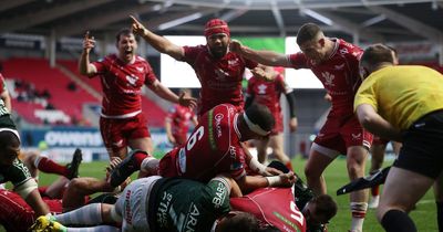 Scarlets 39-7 Bayonne: Welsh side get Euro campaign off to a flier with stunning five-try victory