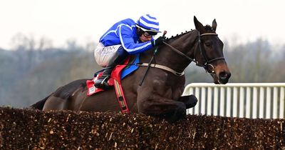 Energumene already an odds-on favourite to retain Cheltenham Festival crown