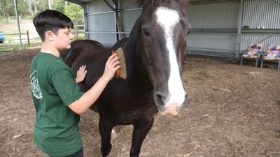 NDIS funding for equine therapy returned after mother wins campaign for autistic son