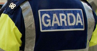 Emergency services attended helicopter crash in Co Kildare