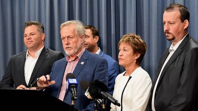 Shooters, Fishers and Farmers MPs resign from party over behaviour of leader Robert Borsak