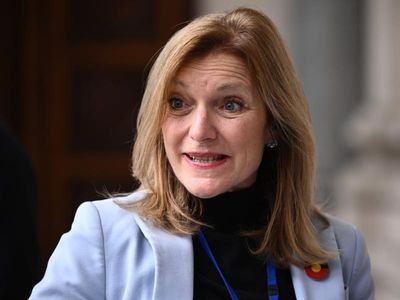 Victorian MP Fiona Patten concedes defeat