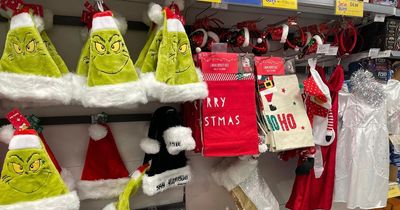 Home Bargains 'adorable' £7.99 Christmas decoration shoppers are loving