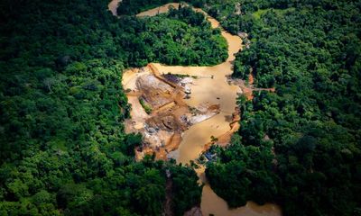 Revealed: Brazil goldminers carve illegal ‘Road to Chaos’ out of Amazon reserve
