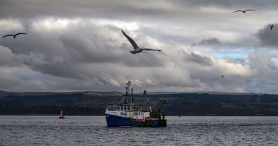 Fisheries deal worth £128 million to Scotland as North Sea quotas rise