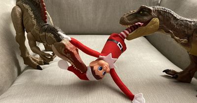 Mum has to create elaborate story after Elf on the Shelf mysteriously loses leg
