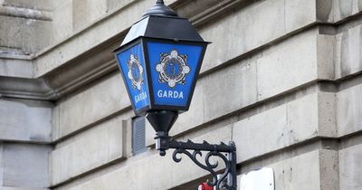 Garda rushed to hospital after vicious city centre assault