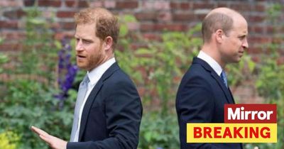 Harry claims people were 'happy to lie' to protect William but Meghan was 'fed to wolves'