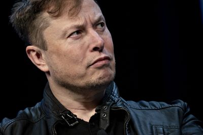 Musk goes after Fauci over lockdowns in latest flurry of tweets