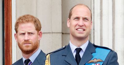 Prince Harry's latest dig at royal family over 'lies' for brother Prince William ahead of Netflix docuseries conclusion
