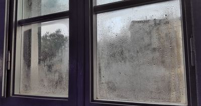 Savvy renter's £3 trick to help reduce condensation 'nightmare' on windows
