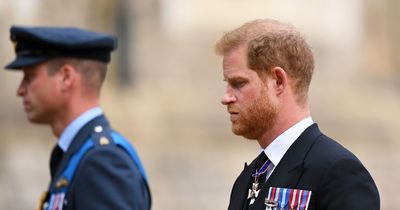 Prince Harry new Netflix trailer claims ‘lies’ were told to protect William