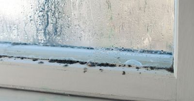 Mrs Hinch fans share tricks to stop condensation that cost from as little as 50p
