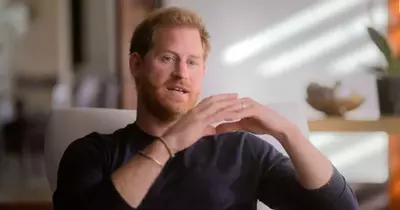 Harry claims 'lies' were told to protect Prince William in explosive new Harry & Meghan Netflix trailer