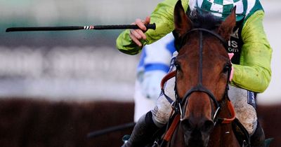 German racing introduces "extreme" new whip rules with huge penalties for jockeys