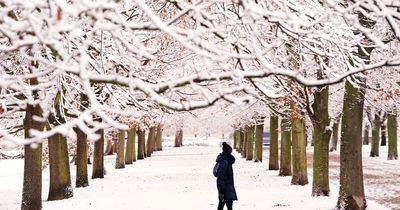 Odds slashed on UK white Christmas after weekend snowfall