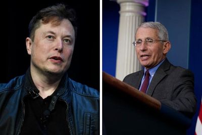 Scots scientist in democracy warning after Elon Musk 'Prosecute Fauci' tweet