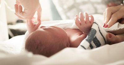 Baby died during lockdown after being put to sleep in shed