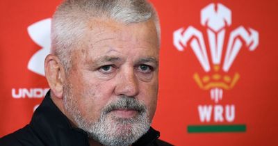 Welsh pro rugby 'teetering on brink of collapse' and Gatland 'can't save game without major change', warns ex-Sport Wales boss