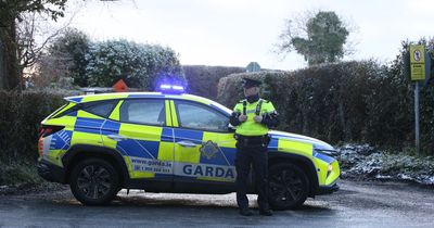 Man murdered and found dumped in Meath field named as major probe under way