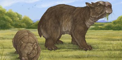 For the first time ever, we have a complete skull description of a true fossil giant wombat