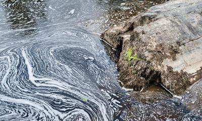 The Guardian view on rivers: delaying pollution controls will only lead to harm