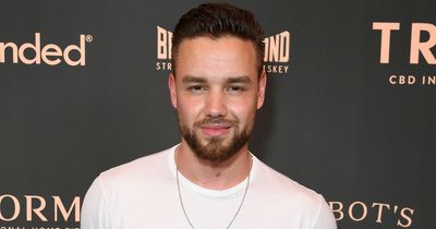 Liam Payne pays tribute to late Queen with stunning painting of Monarch