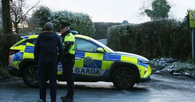 Man murdered and found in field in Co Meath named as gardai launch major probe