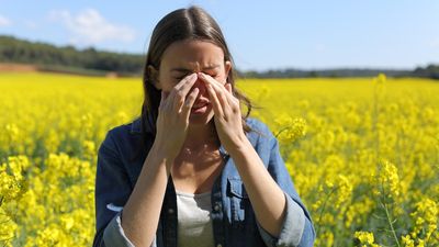 Canberra's extreme pollen season breaks all records, triggers spike in new hay fever sufferers