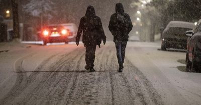 The roads and footpaths Newcastle prioritises for gritting as temperatures plummet