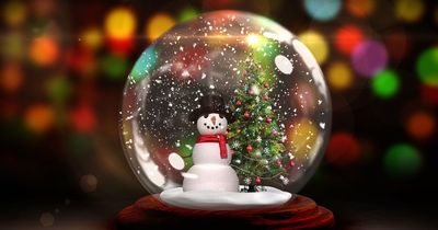 Snowglobe warning to pet owners this Christmas