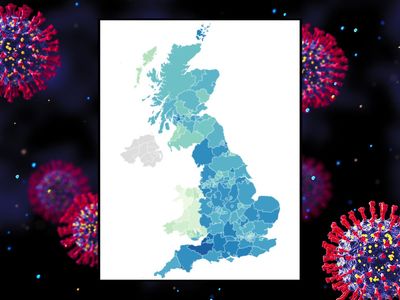 Mapped: Covid cases in your area two weeks before Christmas