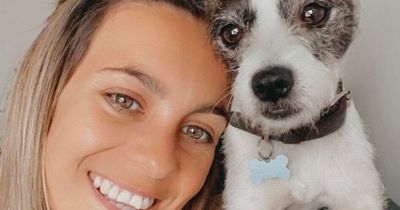 East Lothian woman desperate to be reunited with missing dog for Christmas