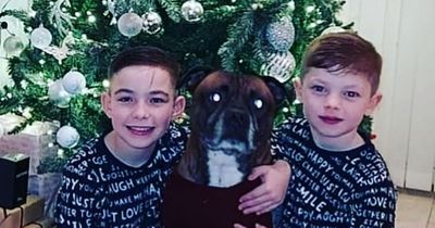 Mum tells children 'Christmas is cancelled' after she's hit with £8,000 vet bill