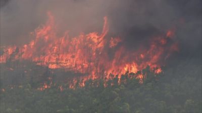 Bushfire emergency warning downgraded for blaze near Jurien Bay, north of Perth