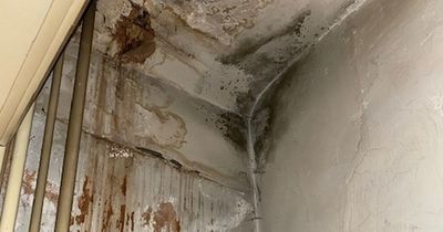 Mum-of-three forced out of Sherwood home by 'diabolical' mould she claims is getting worse