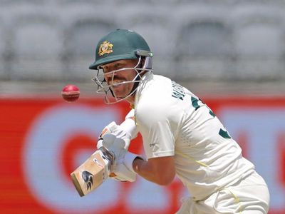 Warner still in Australia's India plans