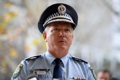Ex-police chief Mick Fuller should have declared racehorses to NSW government, watchdog report finds