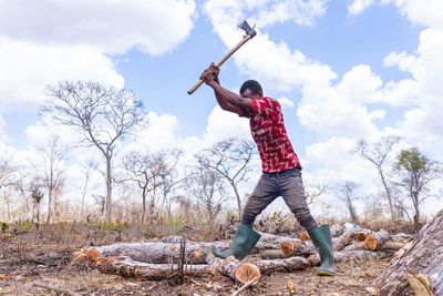 ‘Means of survival’: Tanzania’s booming charcoal trade drives unchecked deforestation