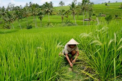 Bali's water crisis threatens local culture, UNESCO sites