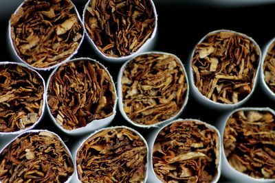 New Zealand bans future generations from buying tobacco under new laws
