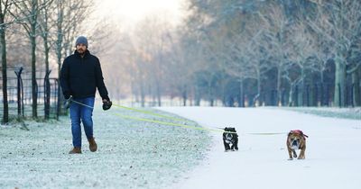 Ireland records coldest day since 2010 as forecasters predict snow and 'stormy' change from this weekend