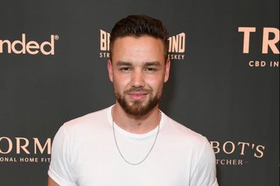 Liam Payne pays tribute to late Queen with stunning painting which took over 2 days to create