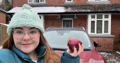 'I tried the windscreen onion hack - my car stank but de-icing has never been easier'