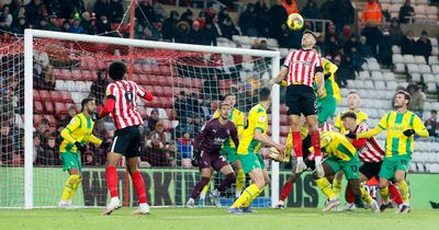 Sunderland's 'protect mode' malfunctioned against West Brom on a night when lessons must be learned